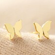 Tiny Butterfly Stud Earrings in Gold on Fabric