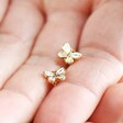 Model Holding White Enamel Butterfly Stud Earrings in Gold