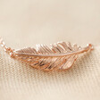 Close Up of Rose Gold Feather Necklace