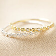 Two Sterling Silver Dotted Crystal Band Rings on Fabric, one gold plated