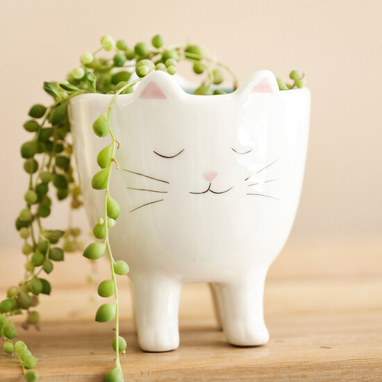 Standing Cat Planter