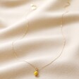 Enamel Lemon Pendant Necklace in Gold Full Length