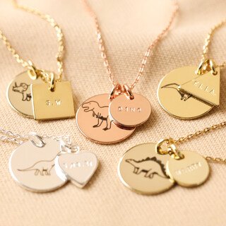 Personalised Dinosaur Disc Necklace