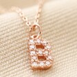 Teen's Handmade Rose Gold Cubic Zirconia Crystal Initial Charm Necklace