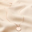 Twenty-One Birthday Sterling Silver Disc Necklace Full Length