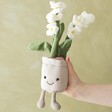 Model Holding Jellycat Amuseable Cream Orchid Soft Toy