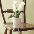 Jellycat Amuseable Cream Orchid Soft Toy Sitting on Wooden Chair