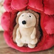 close up of front of hedgehog from Jellycat Brambling Hedgehog Soft Toy