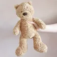 Model Holding Jellycat Bumbly Bear Soft Toy