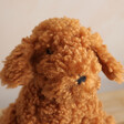 Close Up of Jellycat Cooper Doodle Dog Soft Toy Face