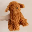Model Holding Jellycat Cooper Doodle Dog Soft Toy