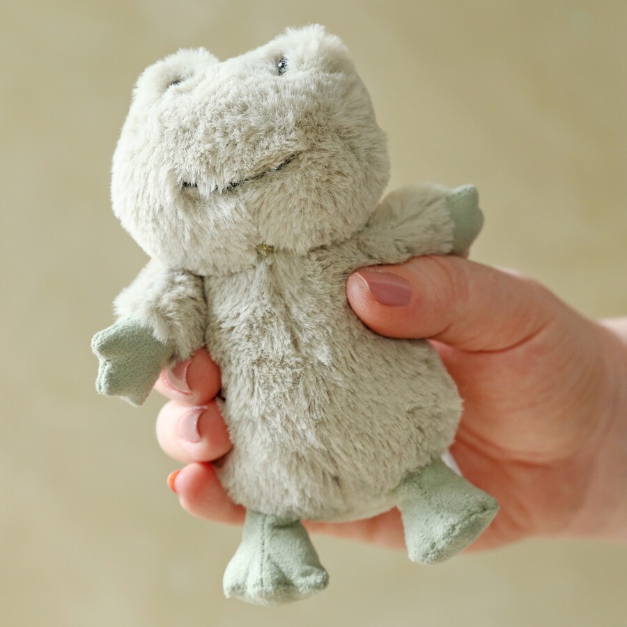 https://cdn.lisaangel.co.uk/image/cache/data/product-images/ss22/je-ss22/jellycat-nippit-frog-soft-toy-0v8a4842-900x900.jpeg
