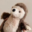 Close Up of Jellycat Nippit Hedgehog Soft Toy