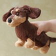 model holding Jellycat Otto Sausage Dog Soft Toy