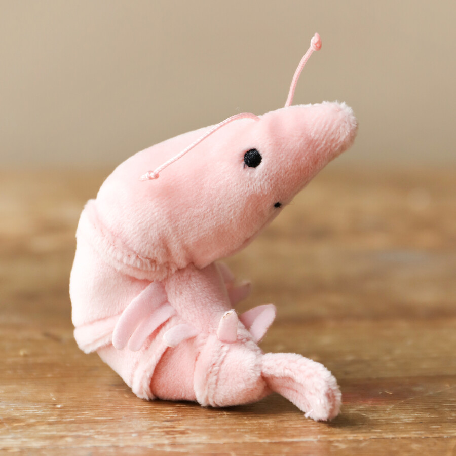 Shrimp jellycat on sale