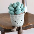 Jellycat Silly Succulent Azulita Soft Toy on Wooden Chair