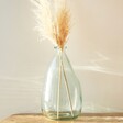 Large Organic Style Glass Vase with Pampas Grass