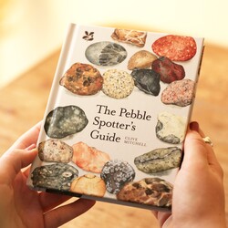 The Pebble Spotter's Guide