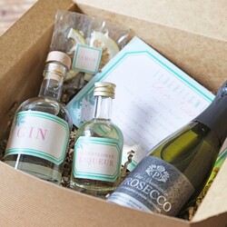 Elderflower Gin Fizz Cocktail Kit