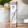 Front of Norfolk Natural Living 90 Days of Winter Rollerball Parfum Packaging