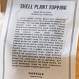 Close up of Front of Norfolk Natural Living Shell Plant Topping