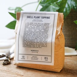 Norfolk Natural Living Shell Plant Topping