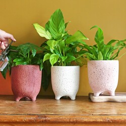 Sass & Belle Large Speckled Leggy Planter, H16cm