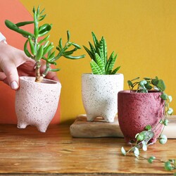 Sass & Belle Small Speckled Leggy Planter, H9.5cm