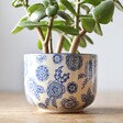 Sass & Belle Blue Willow Planter with Plant