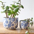 Sass & Belle Blue Willow Planters with Plants