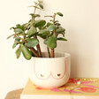 Sass & Belle Girl Power Boobies Planter with Plant
