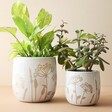 Sass & Belle Large Cow Parsley Planter With Smaller Planter Filled With Plants