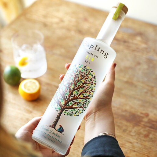 Model Holding Bottle of 70cl Sapling Gin