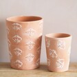 small and large Bee Terracotta Plant Pots on wooden table
