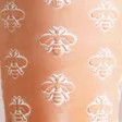 Close Up of Bee Terracotta Plant Pot