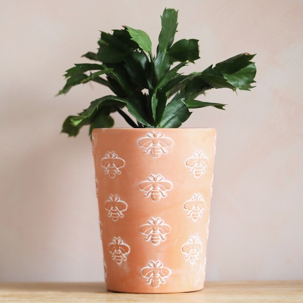 Bee Terracotta Plant Pot, H16cm
