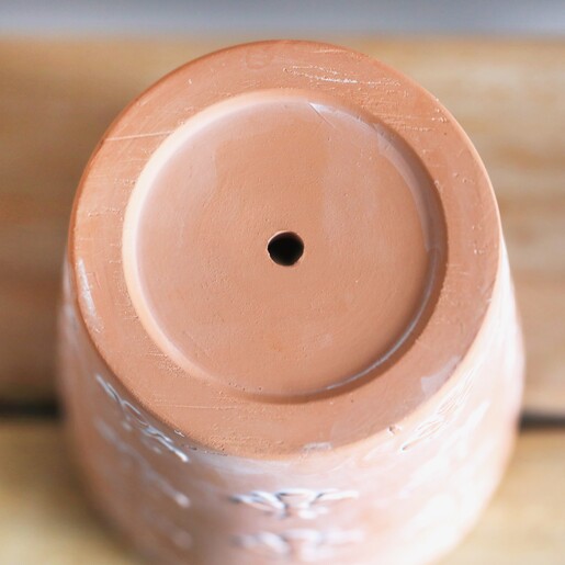 Drainage hole of Bee Terracotta Plant Pot