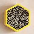 wooden bee house hanging on wall