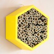 angled view of wooden bee hotel hanging on wall