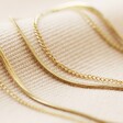 Close-up of Stainless Steel Double Snake Chain Anklet in Gold