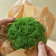 faux moss in Blooming Lovely Dried Flower Cloche Kit