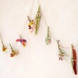 Dried Flower Posy Bunting Against Light Wall