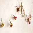 Dried Flower Posy Bunting Against Wall