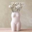 Dried Ixodia Daisy Bunch in Vase
