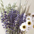 Close Up of Flowers from Dried Lavender and Acroclinium Bunch