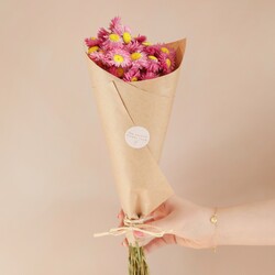 Dried Pink Acroclinium Daisy Bunch