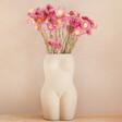 Dried Pink Acroclinium Daisy Bunch in Vase