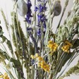 Close Up of English Countryside Dried Flower Bouquet
