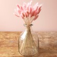 Lagurus Bunny Tails Grass in Candy Floss Pink in Vase
