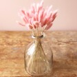 Vase filled with Lagurus Bunny Tails Grass in Candy Floss Pink